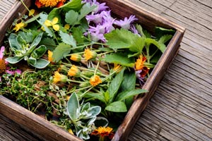 Naturopathic Medicine