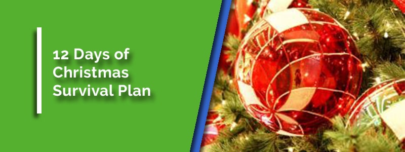 A Sober Holiday