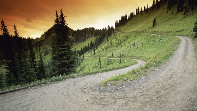 Why Dual Diagnosis Is So Common-The River Source Phoenix