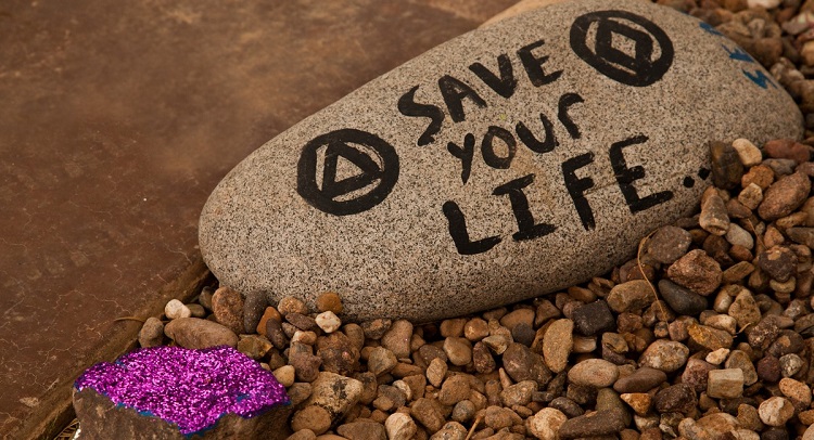 The River Source Mesquite Grove - Save Your Life Rock