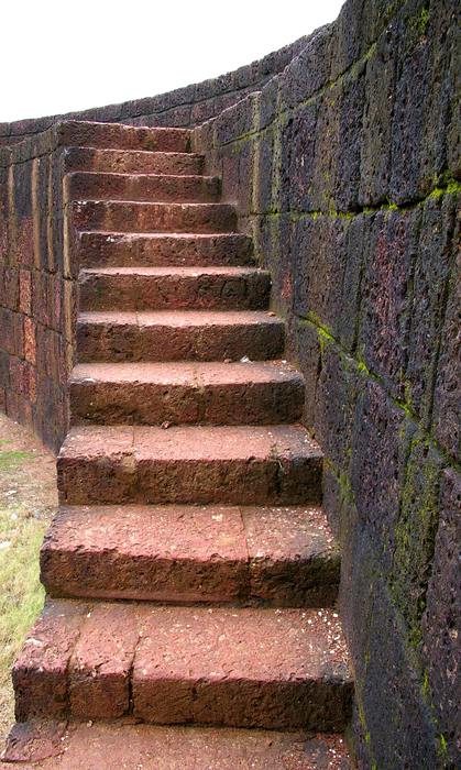 Steps in Recovery