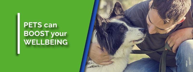 pets can boost recovery