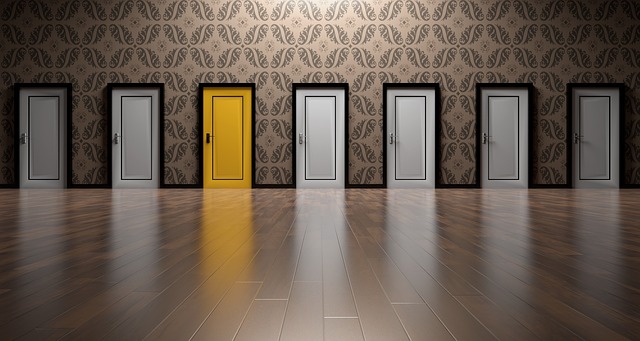 Doors choices
