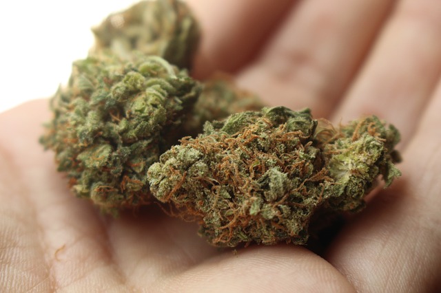 marijuana