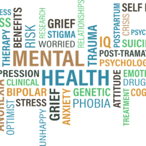 Bio-Psycho-Social Assessment