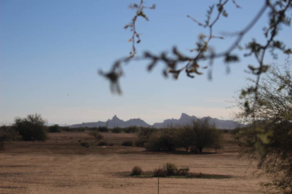 Gallery-img4