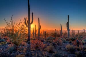 Outpatient Rehab Center in Phoenix, AZ